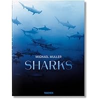 Sharks: Face-to Face with the Ocean's Endangered Predator Sharks: Face-to Face with the Ocean's Endangered Predator Hardcover