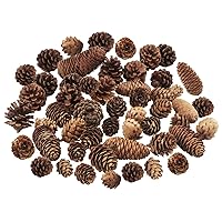 40 PCS Pine Cones Decorations, Natural Pine Cones Bulk Package - Large Medium and Mini Size Rustic Pine cone Ornaments for Table Christmas Tree Crafts Gifts Halloween Thanksgiving Home Decor