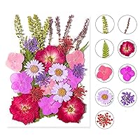 Dried Pressed Flowers for Resin, Real Pressed Flowers Dry Leaves Bulk Natural Herbs Kit for Scrapbooking DIY Art Crafts, Nails Décor, Epoxy Resin Jewelry, Candle, Soap Making (Colorful)