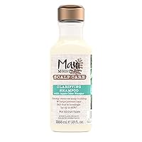Scalp Care Clarifying Shampoo, Apple Cider Vinegar Curly Hair Shampoo Moisturizes & Removes Scalp Build-Up, Sulfate-Free Surfactants, 13 fl. oz