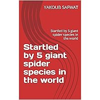 Startled by 5 giant spider species in the world: Startled by 5 giant spider species in the world