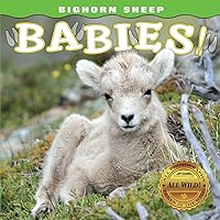 Bighorn Sheep Babies (Babies! (Farcountry Press))