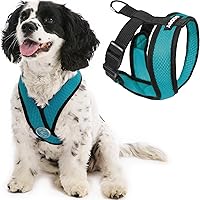 Gooby Comfort X Head in Harness - Turquoise, Medium - No Pull Small Dog Harness Patented Choke-Free X Frame - On The Go Dog Harness for Medium Dogs No Pull or Small Dogs for Indoor and Outdoor Use