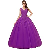 Women's V Neck Sleeveless Quinceanera Dresses Embroidery Beading 15 Dresses Sexy Open Back Formal Prom Gown