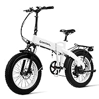 Electric Bike for Adults 20