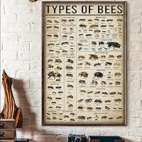 Youpinnong Types of Bees Knowledge Metal Sign Vintage Wall Decor Aluminium Poster Bee Honey Poster Bar Music Club Man Cave Room 16x24 Inches