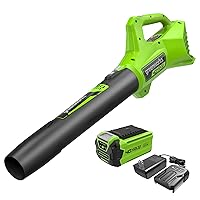 Greenworks 40V (100 MPH / 350 CFM / 75+ Compatible Tools) Cordless Axial Leaf Blower, 2.0Ah Battery and Charger Included