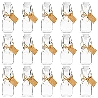 15 Pack Small Swing Top Glass Bottles with Lids, 2 oz/ 60 ml with Tags and Jute Twine for Wedding Party Favors