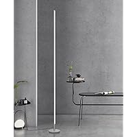 TACAHE Minimalist Corner Floor Lamp - 2700K-6500K Dimmable LED Night Light - Modern Standing Mood Lamp with Remote Control for Living Room, Bedroom - 57