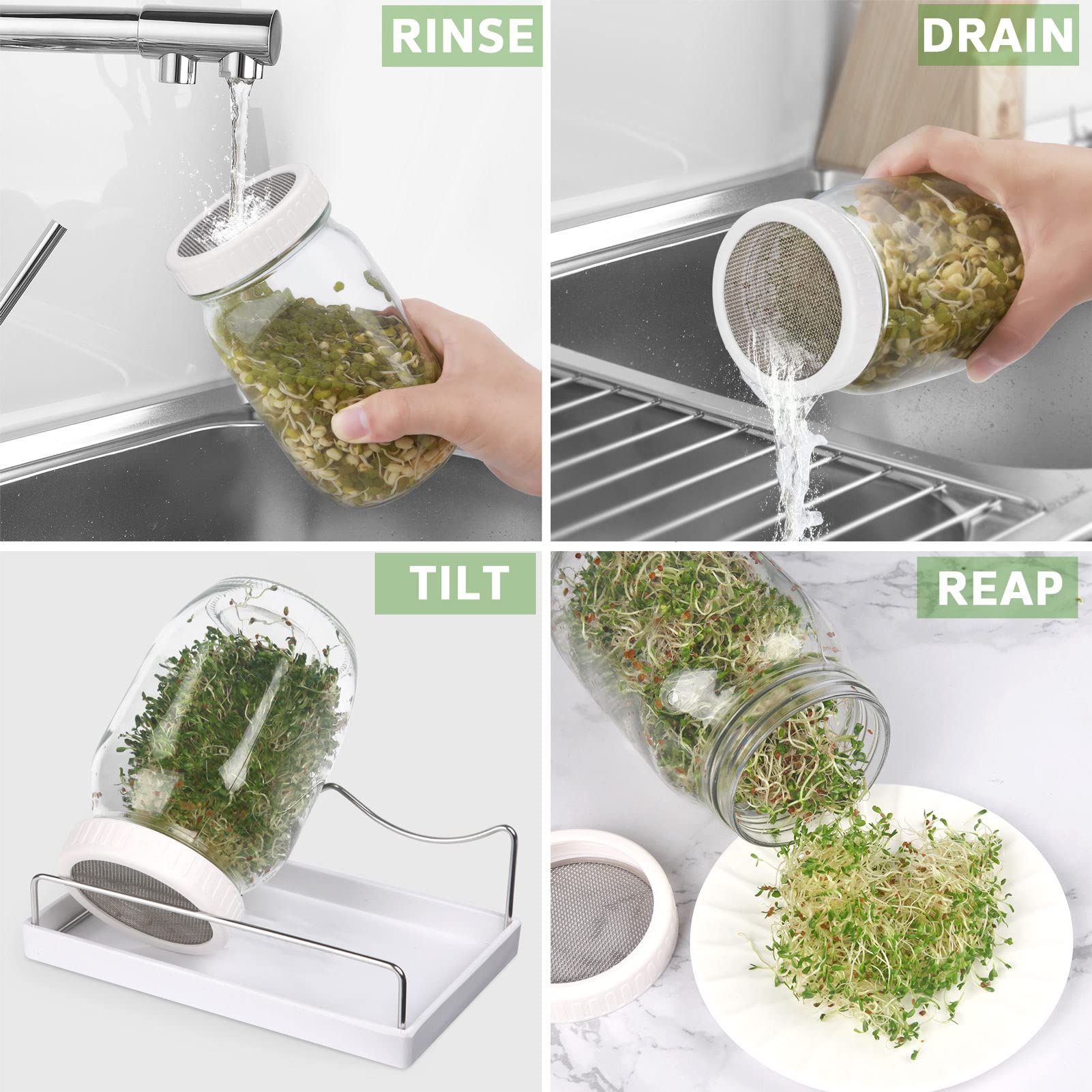 Complete Sprouting Jar Kit| 2 Wide Mouth Mason Jars, 316 Screen Sprout Lids, Blackout Sleeves, Tray, Stand| Sprouter Set for Growing Broccoli, Alfalfa and More-Seeds not Included