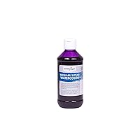 Handy Art Washable Liquid Watercolor 8 ounce, Purple