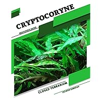 Cryptocoryne: Closed terrarium, Beginner's Guide