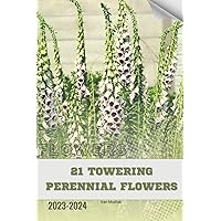 21 Towering Perennial Flowers: Become flowers expert