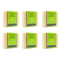 Plantlife Coconut Lime 6-Pack Bar Soap - Moisturizing and Soothing Soap for Your Skin - Hand Crafted Using Plant-Based Ingredients - Made in California 4oz Bar