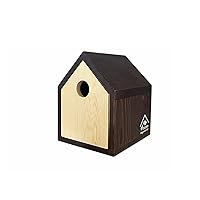 2-in-1 Convertible Solid Wood Modern Birdhouse Birdfeeder | Walnut Color | Back or Pole Mounting