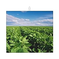 Soybean Field1 Dish Drying Mat Super Absorbent Heat Resistant Dish Drying Pad Microfiber Drainer Rack Mats For Kitchen Countertop Coffee Bar 18 X 16 Inches