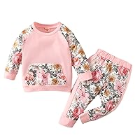 Newborn Baby Girl Clothes Set Floral Patchwork Long Sleeve Tops Casual Long Pants Spring Autumn Outfit Girl 8 12 Clothes