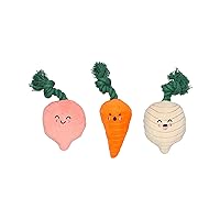 Pearhead Spring Garden Veggies Dog Toys, Radish, Carrot and Turnip Squeaky Rope Toys, Gift for Pet Parents, Vegetable Plush Dog Toys, Set of 3