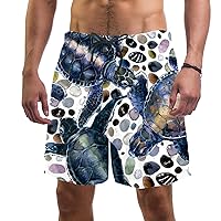 Tortoises and Stone Quick Dry Swim Trunks Men's Swimwear Bathing Suit Mesh Lining Board Shorts with Pocket, L