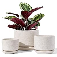 LE TAUCI Ceramic Plant Pots, 4.3+5.3+6.8 inch, Set of 3, Planters with Drainage Hole and Saucer, Indoor Flower Pot with Hole Mesh Pad, Gifts for Mom, Reactive Glaze Beige