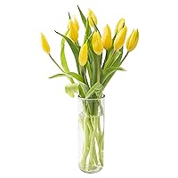 KaBloom PRIME NEXT DAY DELIVERY - Bouquet of Fresh 10 Yellow Tulips with Vase .Gift for Birthday, Sympathy, Anniversary, Get Well, Thank You, Valentine, Mother’s Day Fresh Flowers