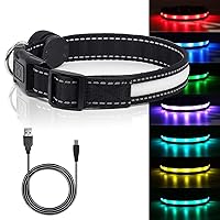 Light Up Dog Collar, Safety LED Dog Collars Rechargeable 7 Colors in One Lighted Dog Collar Glow in The Dark Dog Walking Light, Neon Durable Nylon Adjustable Buckle for Small/Medium/Large Dogs, M Size