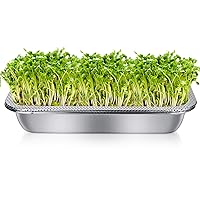 Rectangle Stainless Steel Seed Sprouting Tray Kit Fresh Organic Bean Sprout Grower Germination Tray with Base Set 14.17x10.63inches (LxW)