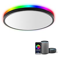TALOYA Smart Ceiling Light Flush Mount LED WiFi, Compatible with Alexa Google Home, Black Dimmable Low Profile Ambient Light Fixture for Bedroom Living Room,12 Inch 24W