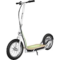 EcoSmart SUP Electric Scooter – 16