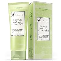 𝗪𝗜𝗡𝗡𝗘𝗥 𝟮𝟬𝟮𝟯* Gentle Face Cleanser, Tea Tree Face Wash with Aloe Vera, All Natural Face Wash, Face Cleanser for Normal and Oily Skin, Deep Cleansing Facial Cleanser, Hydrates and Clears Skin
