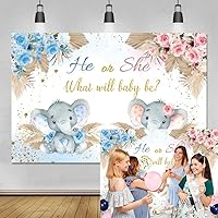 Gender Reveal Backdrop Boy or Girl What Will Baby Be Background He or She Pink Flower Little Blue Elephant Newborn Baby Shower Party Banner Decorations Photoshoot 7x5ft
