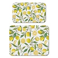 2 Pack Coffee Maker Mat for Countertops, Dish Mat Drying Kitchen Mat Set 18 X 24+19.5x12Inch; Espresso Machine Mat Coffee Pot Mats for Kitchen Counter Ultra Absorbent and Non-Slip Lemon Pattern Pad