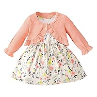 Toddler Baby Girl Mini Skirt Set Long Sleeved Coat Sleeveless Dress Set Two Piece Children Baby Girl
