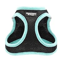 Step in Dog Harness for Small Dogs No Pull, Large, Black w/Light Blue Trim - Adjustable Harness with Padded Mesh Fabric and Reflective Trim - Buckle Strap Harness for Dogs