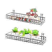 Wire Wall Basket, Grid Basket with Hooks, Wall Mounted Organizer for Wall Grid, Kitchen Organizer, Wire Storage Shelf Rack for Home Supplies, Wall Decoration(Double)