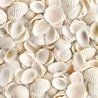 60 Pcs Round Capiz Shells, 2 Inches Round Natural Capiz Sea Shells with 2  Holes White Shells Pieces for for Wind Chimes Handcraft Jewelry Making