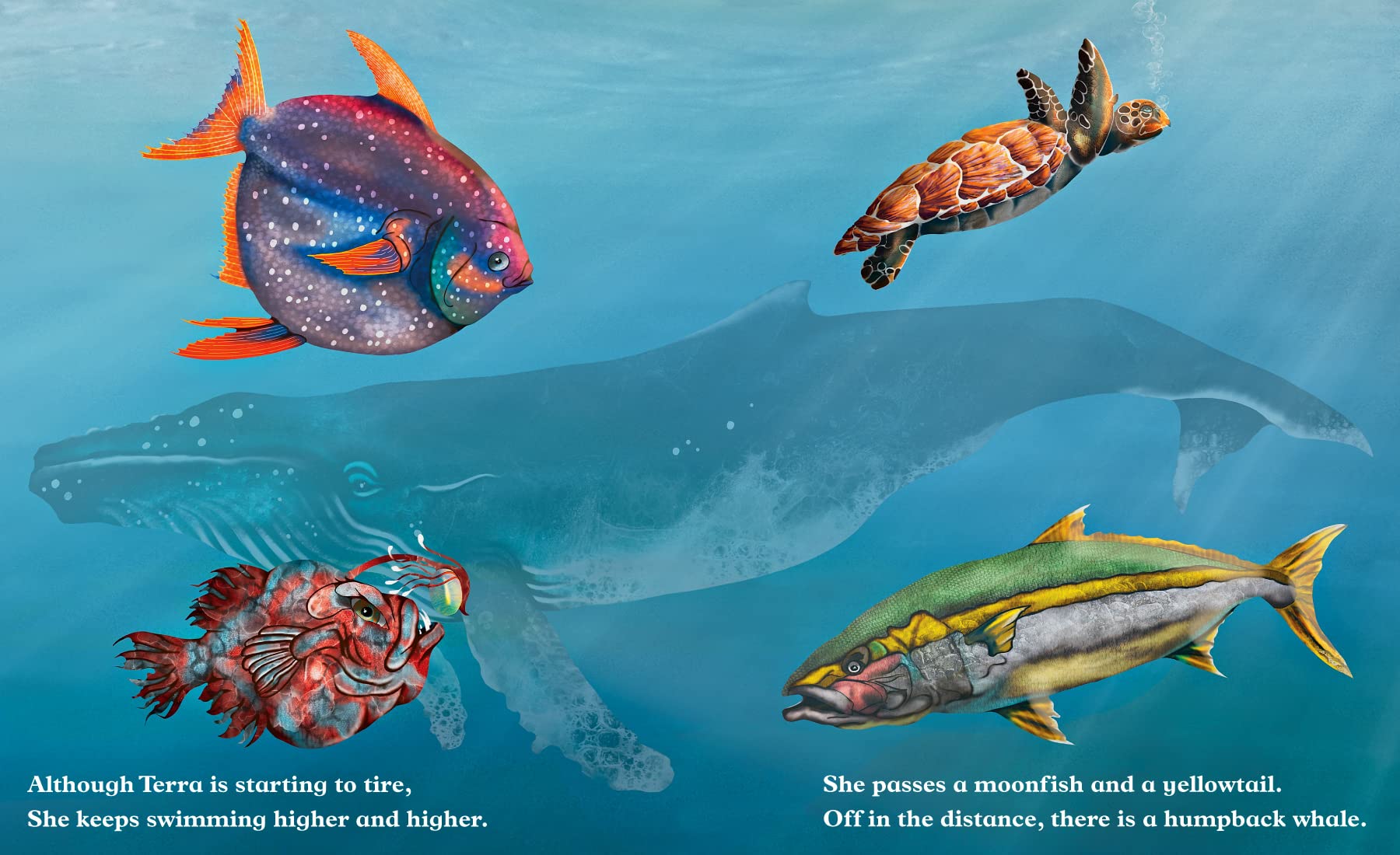 Dreaming of the Ocean (An educational children's picture book about sea creatures, including turtles, fish, giant squid, anglerfish, and whales - a great bedtime / good night story for kids)