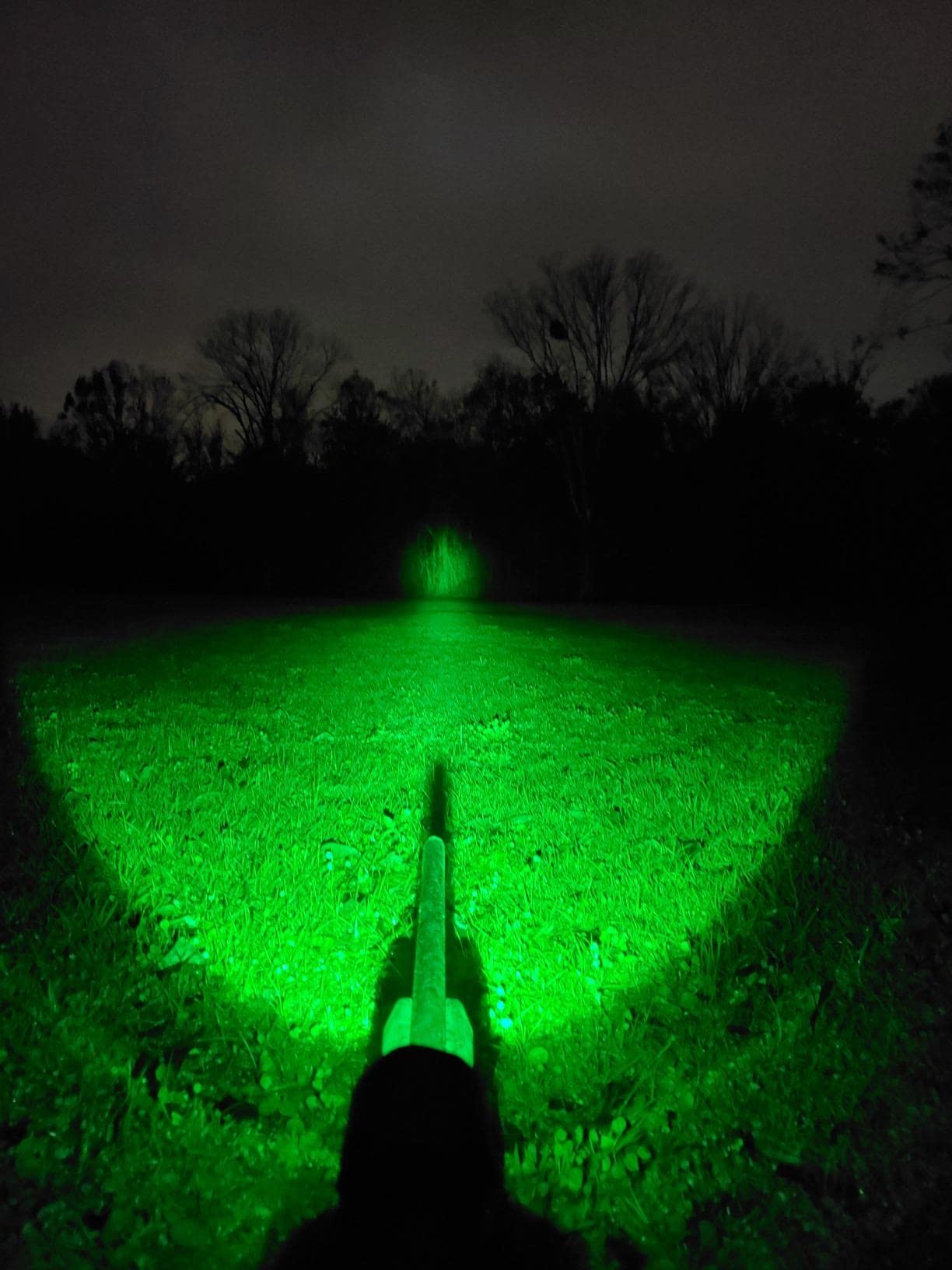 VASTFIRE 350 Yard LED Green Flashlight Kit Hog Predator Long Range Night Hunting Light Dual Pressure Switch Barrel Scope Mounts