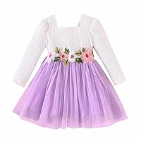 Korean Version Sweet Little Girl Embroidered A Line Dress European and American Spring and 4 Years Old