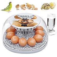 Incubators for Hatching Eggs 12-24 Eggs Incubator with Automatic Egg Turning and Humidity Temperature Control Small Poultry Incubator for Hatching Chicken Quail Duck Bird Eggs
