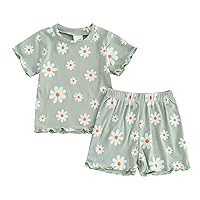 Karwuiio Toddler Baby Girls Clothes Outfits Floral Print Short Sleeve T Shirt Shorts Set Baby Girls Summer Clothing