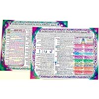 Set: 2 CHARTS: AROMAtherapy & ESSENTISAL Oils REMEDIES- CHARTS #1 & #2, 2-sided, in the Inner Light Resources RAINBOW® Charts & Cards Series. 8.5 x 11 in. (Small Poster/ Large Cards)