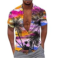 Work Shirts for Men, Boy's Short Sleeve Tee Shirt Top Sport Outdoor Comfy Tops Round Neck Clothes