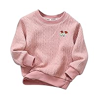 Boys Size 10 Sweatshirt Toddler Child Kids Baby Boys Girls Cute Cartoon Knitted Boys Clothes Size 20 Youth