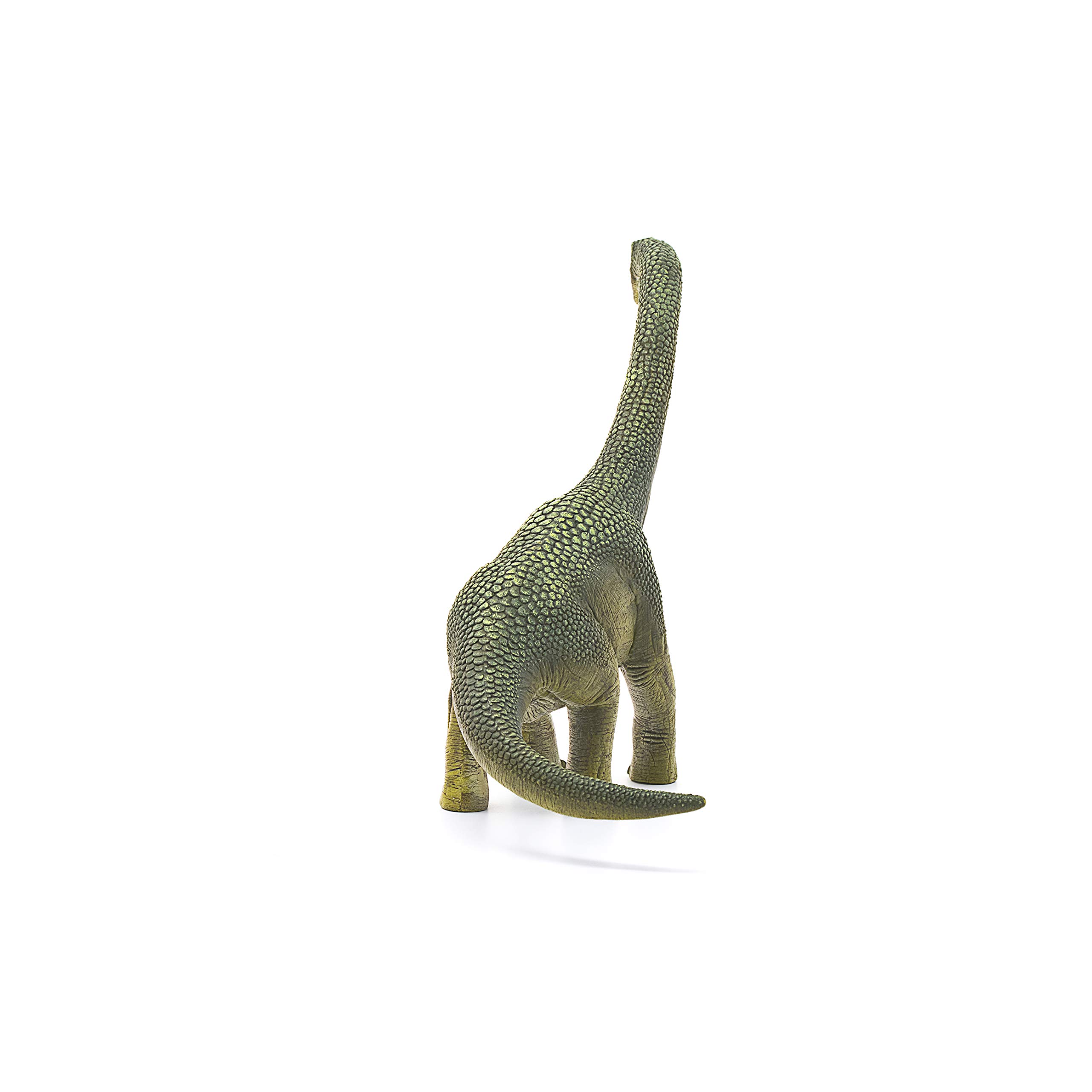 Schleich Dinosaurs, Dinosaur Toy, Dinosaur Toys for Boys and Girls 4-12 Years Old, Brachiosaurus , Green