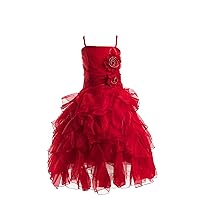 DressForLess Exquisite Organza Ruffles Overlay Pageant Party Holiday Communion Flower girl Dress