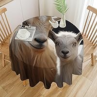 Cute Goat Baby with Mother Tablecloth Waterproof Wrinkle Resistant Round Table Cover 50x50in Washable Table Cloth for Indoor Outdoor Kitchen Dining Room Holiday Decorative 60 Inch