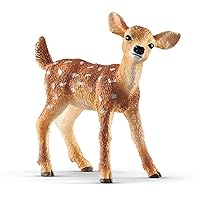 Schleich Wild Life Realistic White-Tailed Fawn Figurine - Authentic and Highly Detailed Wild Animal Toy, Durable for Education and Fun Play for Kids, Perfect for Boys and Girls, Ages 3+