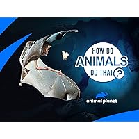 How Do Animals Do That? Season 2