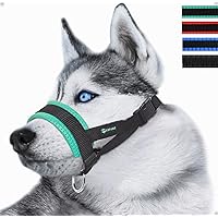 Nylon Dog Muzzle for Small,Medium,Large Dogs Prevent from Biting,Barking and Chewing,Adjustable Loop(XXL/Green)